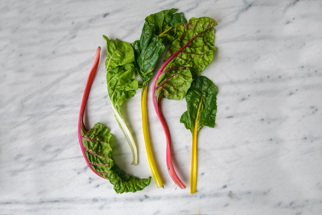 Photo Fermented vegetables