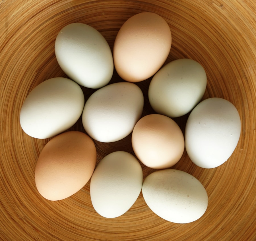 Photo Alternative sources of protein
