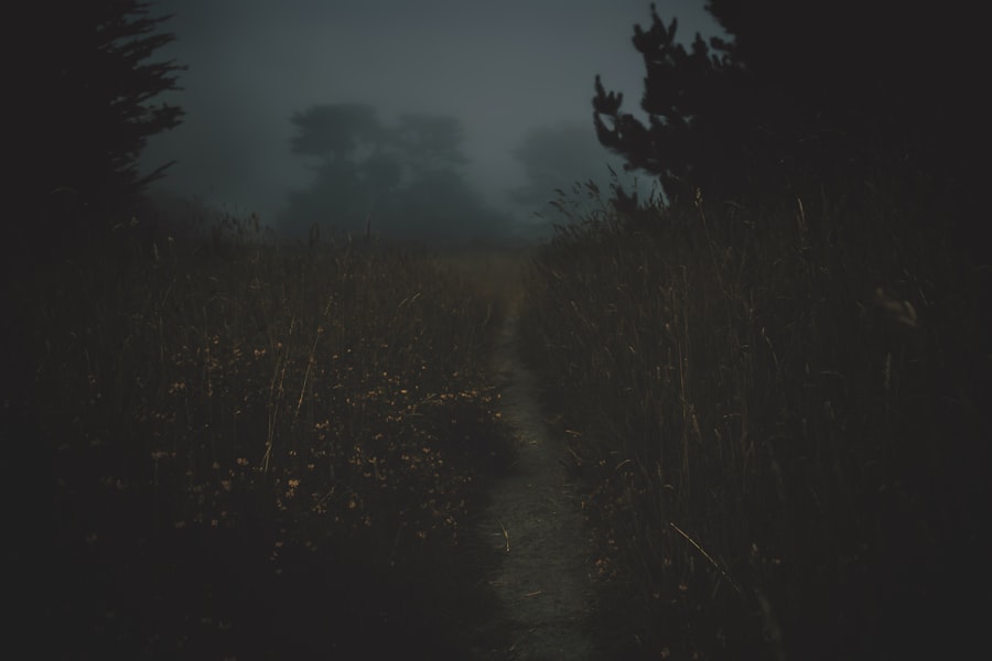 Psychodeliki: Nowa Fala Wszechstronnych Doznań 3 Photo psychodeliki