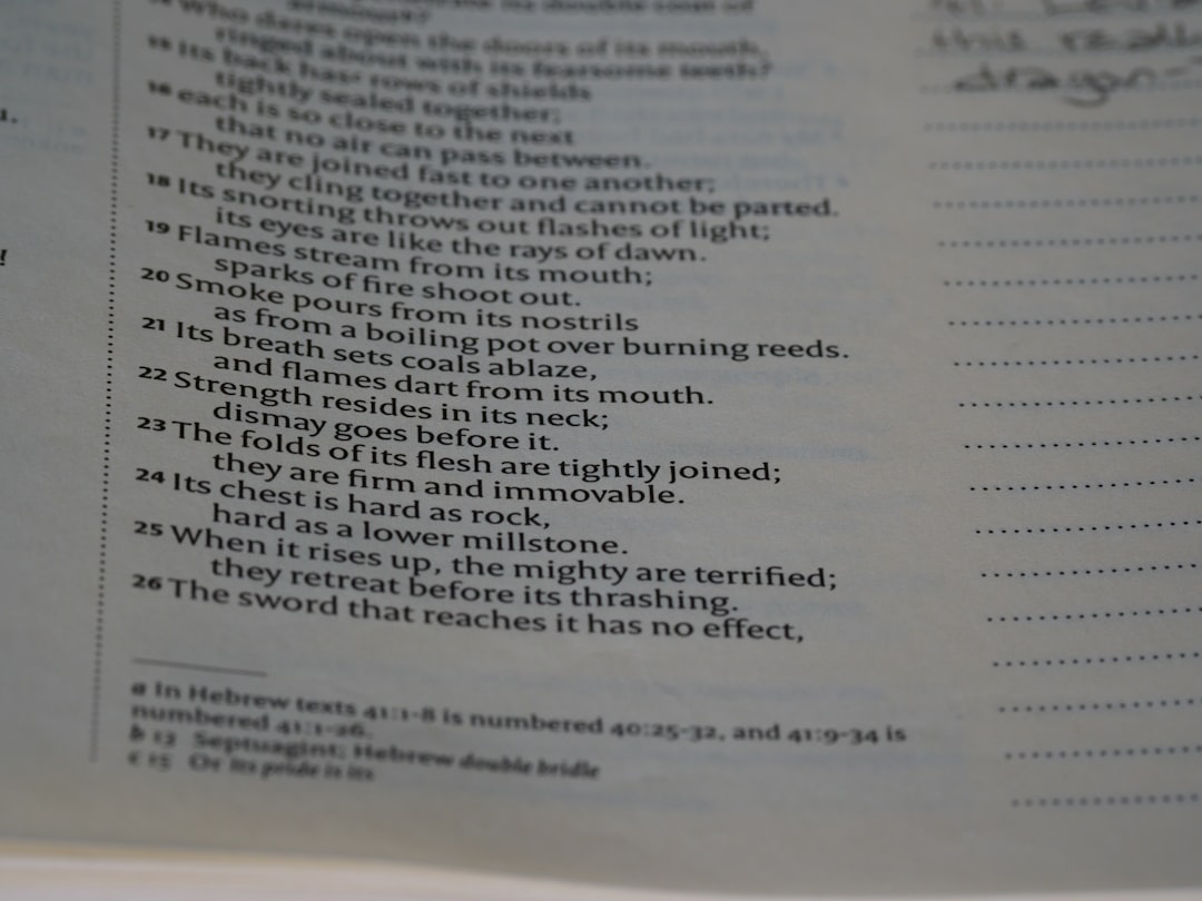 Photo consecutive interpreting English