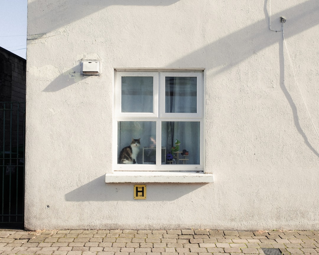 Photo mortgage conditions